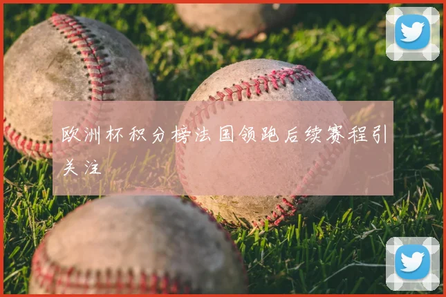 欧洲杯积分榜法国领跑后续赛程引关注